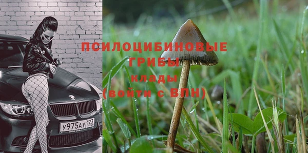 крисы Белокуриха