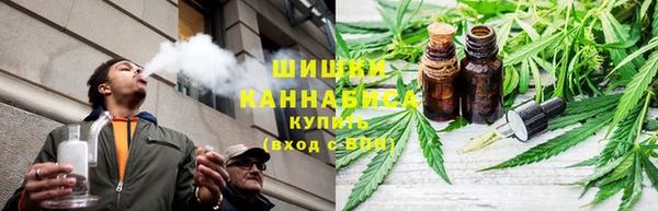 крисы Белокуриха