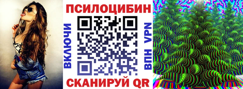продажа наркотиков  Велиж  Псилоцибиновые грибы Cubensis 